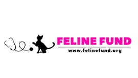 Humane Society of Huron Valley TNR Extravaganza sponsored by Feline Fund