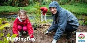 Omana Regional Park - Planting Day