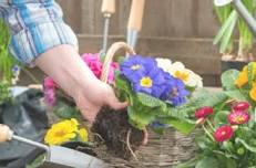 May Day Basket Gardening Class