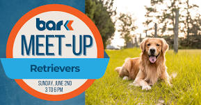 Breed Meet-Up: Retrievers