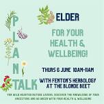 Plant Talk - Elder For Your Health & Wellbeing