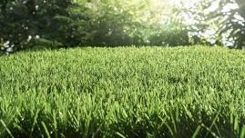 The Grass Class – Residential Turf Maintenance