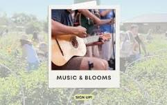 Music & Blooms