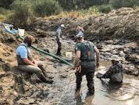 Stage Zero Riparian Restoration Tour