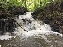 Waterfall Hike