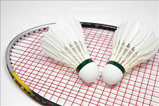 Badminton Club