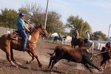 Bourbon County Fair Rodeo