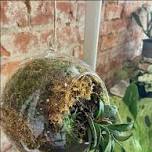 Hanging Terrarium Class