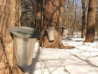 57th Annual Schoharie County Maple Festival