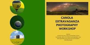 Canola Photography Extravaganza