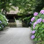 Todaiji Betsuin Amidaji Temple Hydrangea Festival