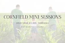 2024 Cornfield Mini Sessions