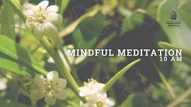 Mindful Meditation