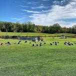 YOGA + PHOTO IN THE LAWN!