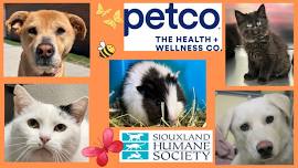 Petco Offsite Adoption Event