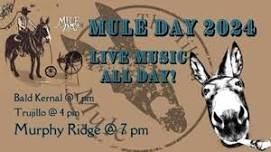 Bald Kernal at The Tilted Mule for Mule Day