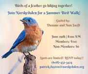 Summer Bird Walk