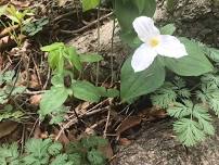 Mother’s Day Hike