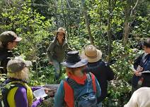 Discover Nature's Bounty: Join Our Urban Foraging Class!