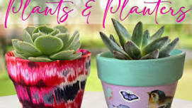 Mother's Day Plants & Planters