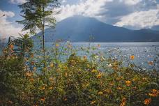 Forest Path Immersion in GUATEMALA