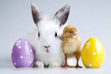 Paint with Bunnies and Chicks! All Ages! *PAY FOR POTTERY AT EVENT* LEOMINSTER