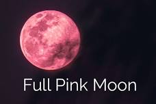 Full Pink Moon Women’s Circle