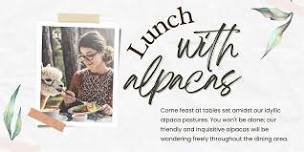 June Lunch with Alpacas