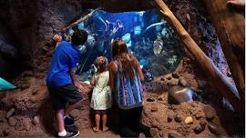 Water Wonders at Turtle Bay