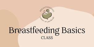 Breastfeeding Basics