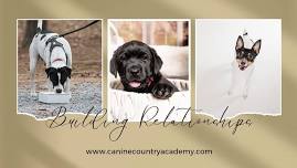 Dream of Becoming a Dog Trainer Workshop