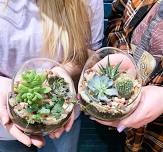 Cacti & Succulent Terrarium Workshop May 30th @ Lost In The Wilds Brewing