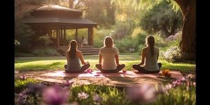 Chair & Qigong Yoga with Michele