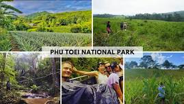 Phu Toei National Park