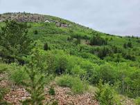 Hike or Trail Run Anaconda's 