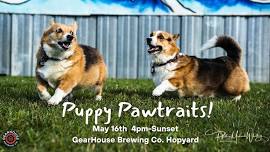 Puppy Pawtraits with Mr. Phab Photos @GearHouse Brewing Co.!