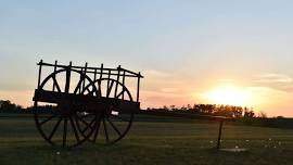 Guided Walking Tours at Original Humboldt