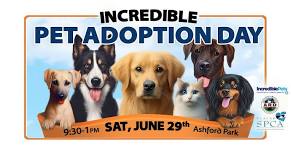 Incredible Pet Adoption Day