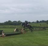 Lessons at Twin Towers Horse Park!