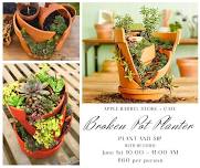 Plant and Sip: Broken Pot Planter