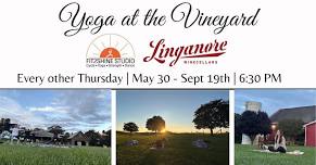 Yoga at the Vineyard