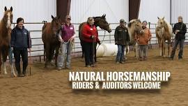 Level 1 – Horsemanship Foundations