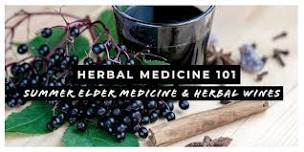 Herbal Medicine 101: Prepare for the Winter Woes