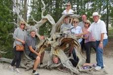 Yellowstone National Park - PRIVATE Full-Day Lower Loop Tour from W. Yellowstone