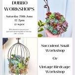 Succulent Workshops- DUBBO