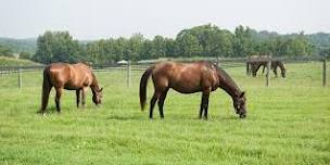 Pasture Walk