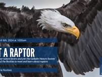 Raptor Meet and Greet