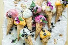 Program Night - Ice Cream Social — Eastside Audubon Society