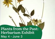 Plants from the Past: Herbarium Exhibit