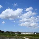 Outing – Farewell the Waders at Langebaan Lagoon, West Coast National Park  Leader: Mel Tripp.